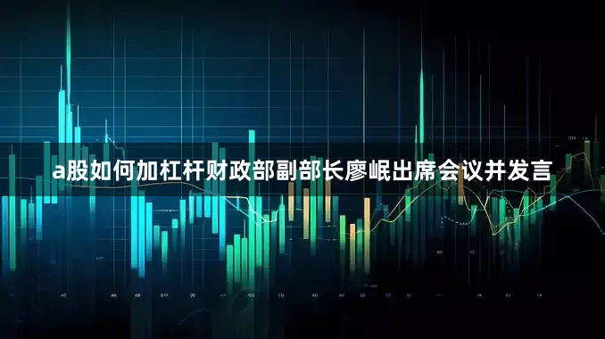 a股如何加杠杆财政部副部长廖岷出席会议并发言
