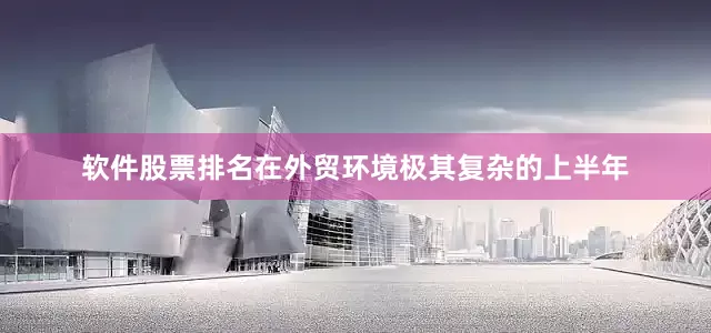 软件股票排名在外贸环境极其复杂的上半年