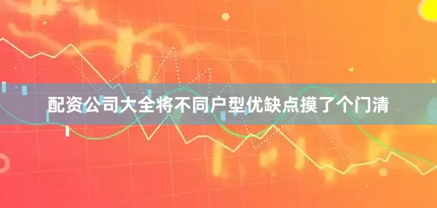 配资公司大全将不同户型优缺点摸了个门清