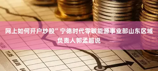 网上如何开户炒股”宁德时代零碳能源事业部山东区域负责人郭孟超说