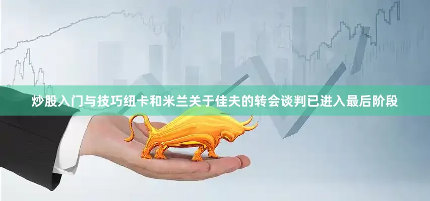 炒股入门与技巧纽卡和米兰关于佳夫的转会谈判已进入最后阶段